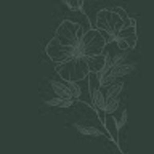 Meet your Posher, Lilly